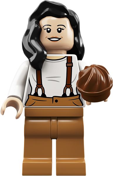 Блоковий конструктор LEGO Центральний Перк Друзі (21319)