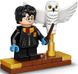 Блоковий конструктор LEGO Harry Potter Букля (75979)