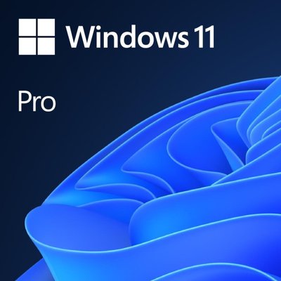 Встановлення операційної системи Windows 11 Pro (ліцензійний ключ)